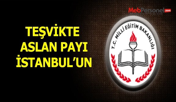 Teşvikte aslan payı İstanbul'un