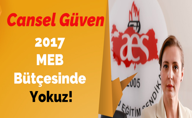 2017 MEB Bütçesinde Yokuz!