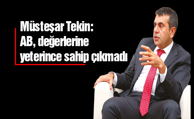 Müsteşar Tekin: AB, değerlerine yeterince sahip çıkmadı