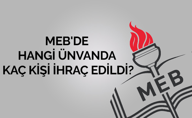 MEB'de Hangi Ünvanda Kaç Kişi İhraç Edildi?