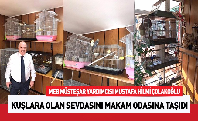 Müsteşar Yardımcısı Kuşlara Olan Sevdasını Makam Odasına Taşıdı