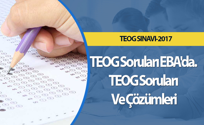 TEOG Soruları EBA'da. TEOG Soruları Ve Çözümleri