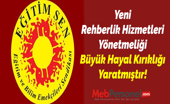 Yeni “Rehberlik Hizmetleri Yönetmeliği” Büyük Hayal Kırıklığı Yaratmıştır!