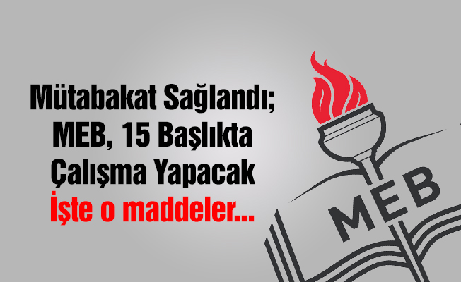 MEB, 15 konuda çalışma yapacak