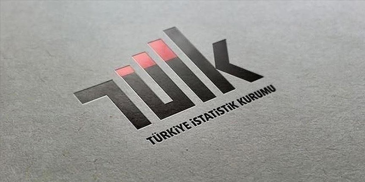 TÜİK, şubat ayı İşgücü İstatistikleri'ni açıkladı.