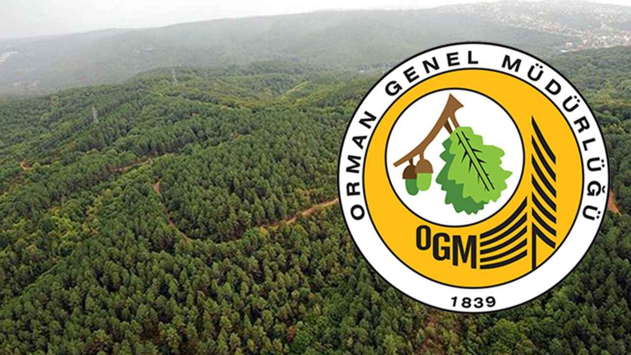 Tarım ve Orman Bakanlığı Orman Genel Müdürlüğü 170 sözleşmeli personel alımı ilanı!