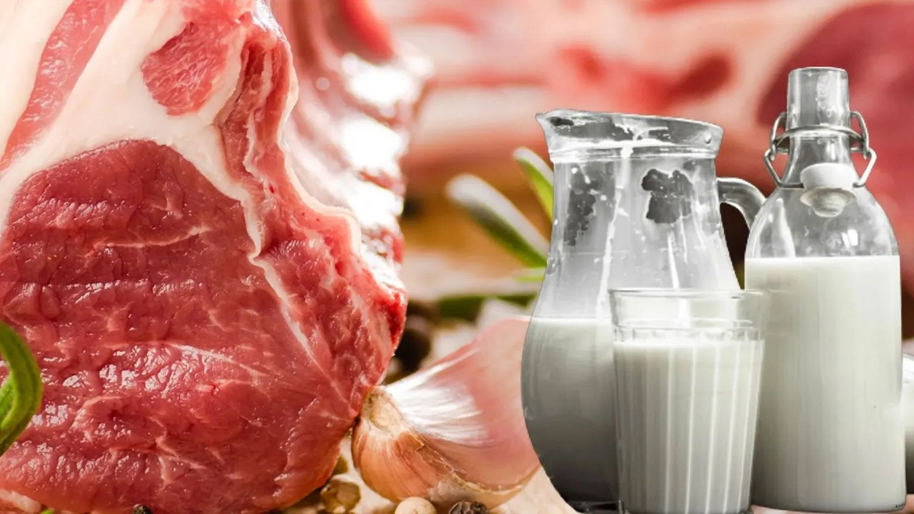 Et ve süt sektörü alarm veriyor! İhracat kısıtlamaları üretimi tehlikeye atabilir.