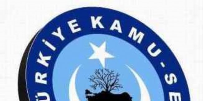 Kamu Sen'den TL Kampanyası