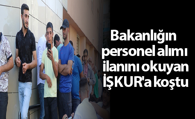 Bakanlığın personel alımı ilanını okuyan İŞKUR'a koştu