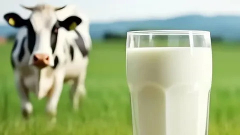 Tarım Müdürlüğü’nden Çiftçiye 2.8 Milyon TL’lik Dev Destek! Çiğ Süt Projesi Başladı