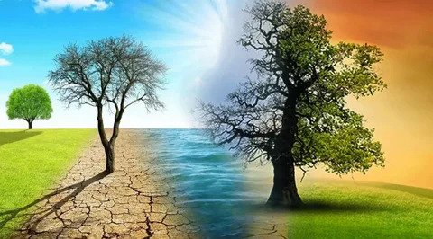 Türkiye'nin İlk İklim Kanunu Yürürlüğe Girdi: İklim Değişikliğiyle Mücadelede Yeni Dönem