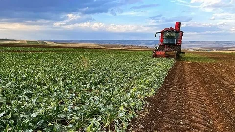 Çiftçilere 2 Milyar TL IPARD Desteği Başvuruları Başladı