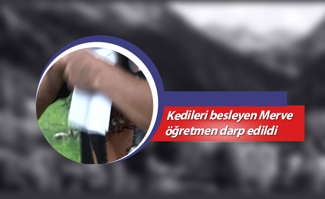 Kedileri besleyen Merve öğretmen darp edildi