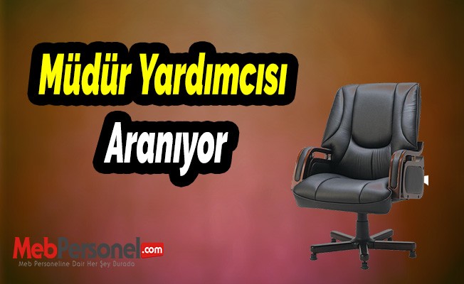 Müdür Yardımcısı Aranıyor