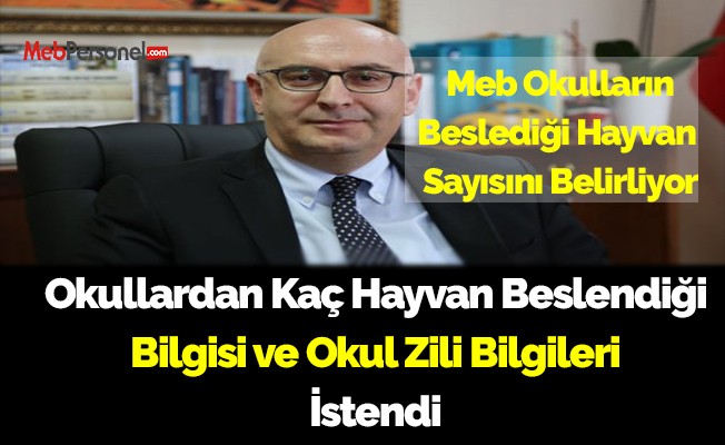 MEB Okulların Beslediği Hayvan Sayısını Belirliyor