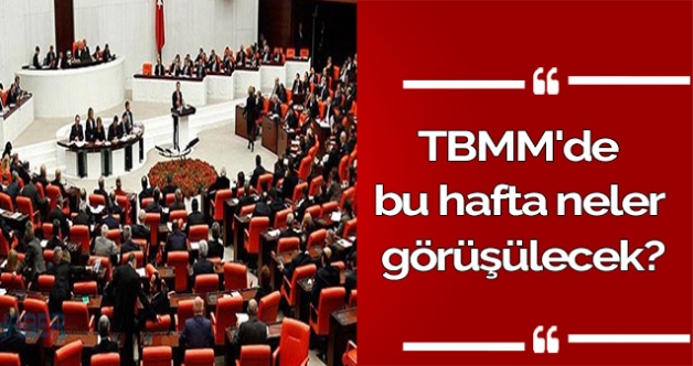 TBMM'de bu hafta neler görüşülecek?