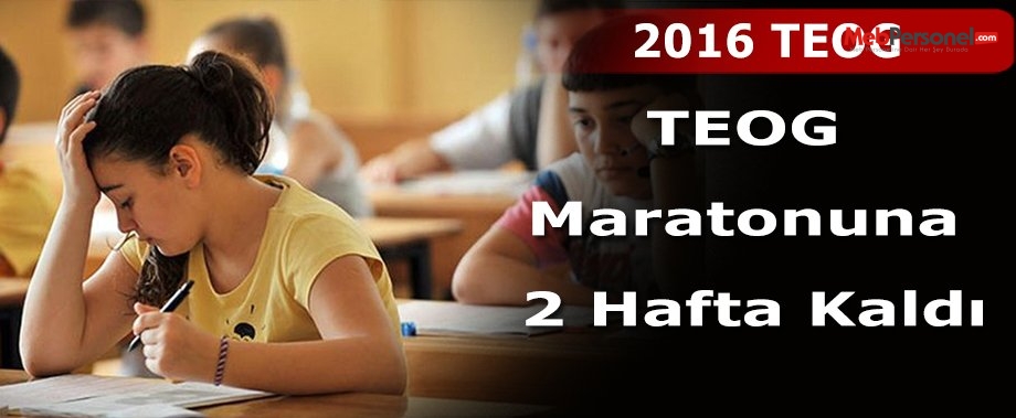 TEOG Maratonuna 2 Hafta Kaldı. Son Gelişmeler-Detaylar