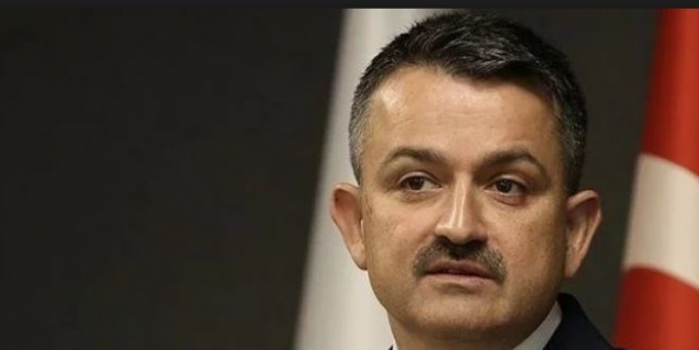 Küçükbaş hayvan varlığında Avrupa'da birinci sıradayız