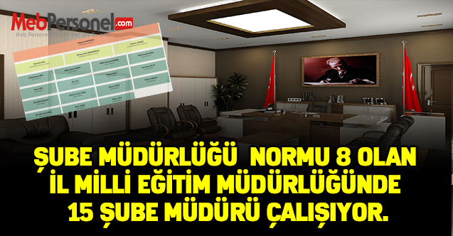 Şube Müdürlüğü Normu 8 olan İl MEM'de 15 Şube Müdürü çalışıyor.