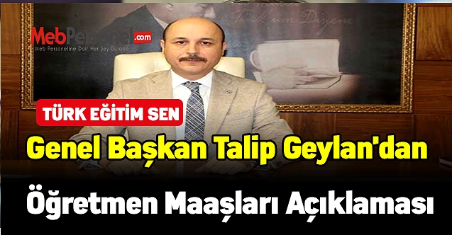 Türk Eğitim Sen Genel Başkanı Talip Geylan'dan öğretmen maaşları açıklaması