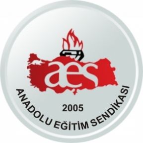 Aes, Gazete İlanı İçin Destek Verenlerin  Listesini Yayınladı
