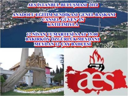 AES İSTANBUL BULUŞMASI 2014