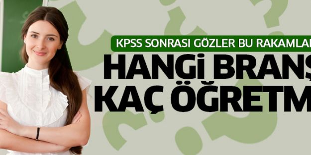 Bu yıl kaç öğretmen ataması yapılacak? (2014-2015 atama branş dağılımı)