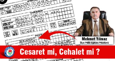 Cesaret mi, Cehalet mi?