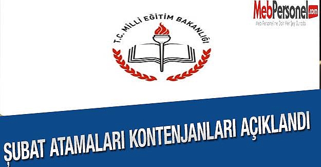 2015 Şubat Dönemi Öğretmenlik İçin Başvuru ve Atama Duyurusu