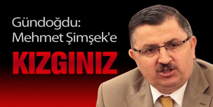 Gündoğdu: Mehmet Şimşek'e kızgınız