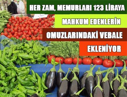 HER ZAM, MEMURLARI 123 LİRAYA MAHKUM EDENLERİN OMUZLARINDAKİ VEBALE EKLENİYOR