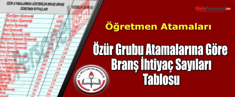 Özür Grubu Öğretmen Atamaları Branş Branş İhtiyaç Sayıları