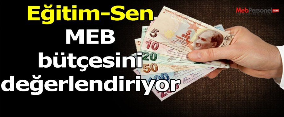 Eğitim Sen MEB bütçesini değerlendiriyor