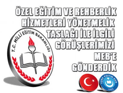 ÖZEL EĞİTİM VE REH. HİZ. YÖNET. TAS. İLE İLGİLİ GÖRÜŞLER
