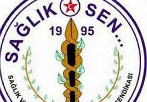 Sağlık Sen: 2013'ten beklentimiz yeni bir anayasa