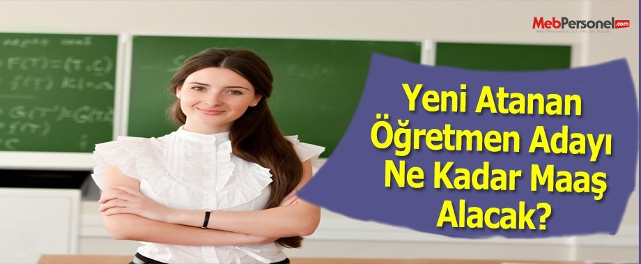Yeni Atanan Öğretmen Adayı Ne Kadar Maaş Alacak?
