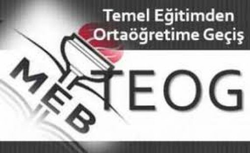 Teog Sınav Sonuçları Sonuç Ekranı MEB
