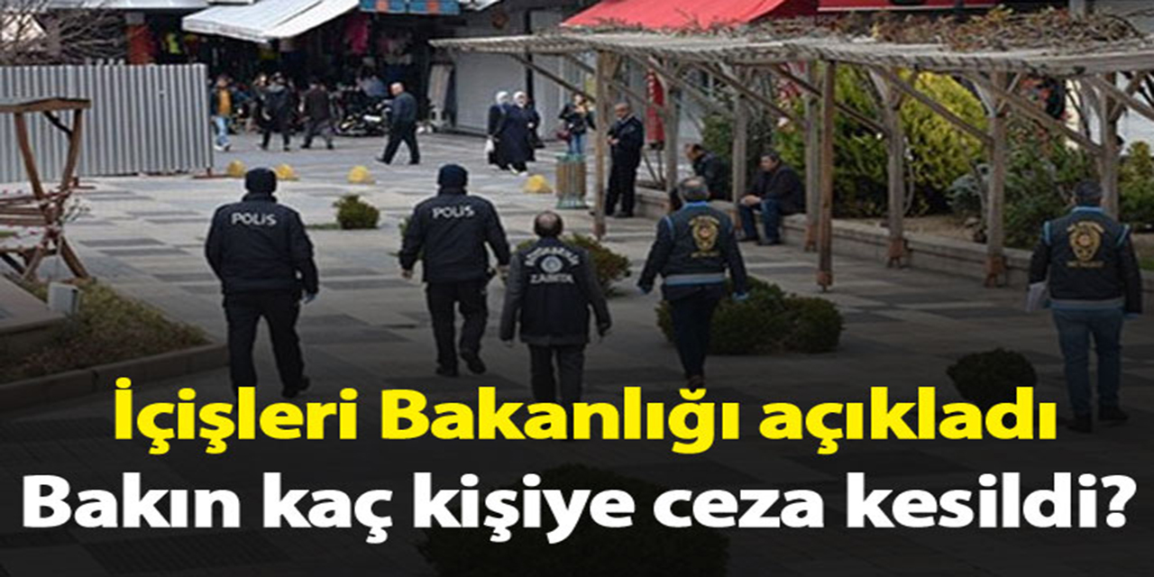 İçişleri Bakanlığı açıkladı: 31 bin 69 kişiye ceza kesildi