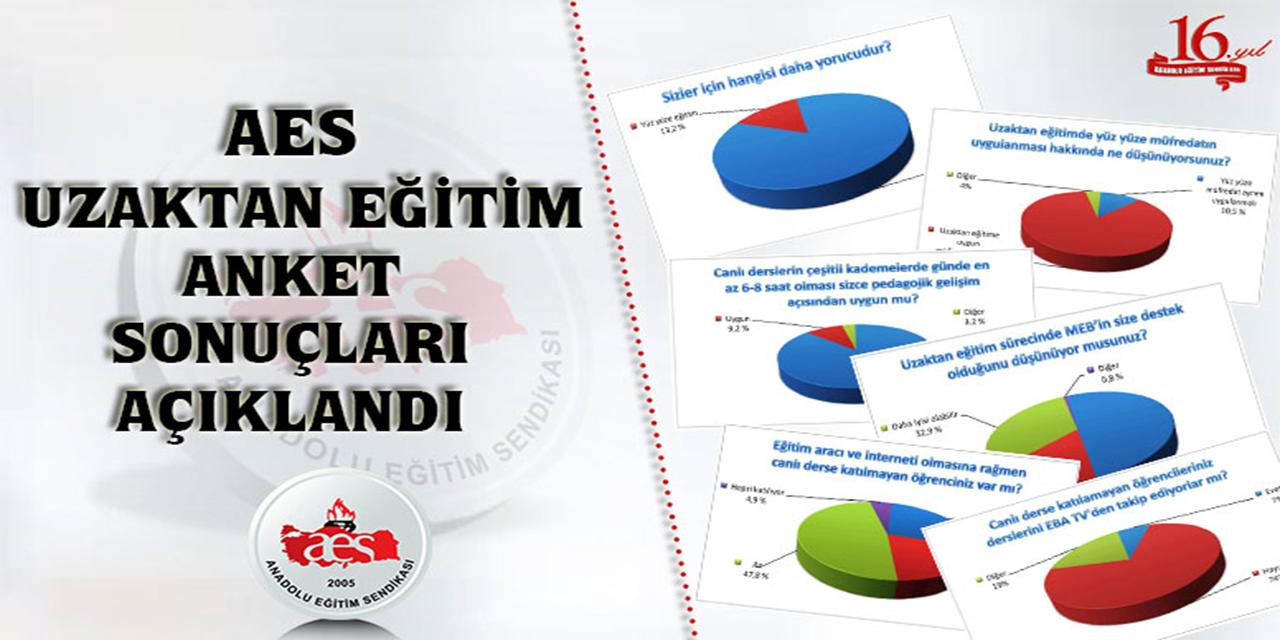 AES, Uzaktan Eğitim Anket Sonuçlarını Açıkladı