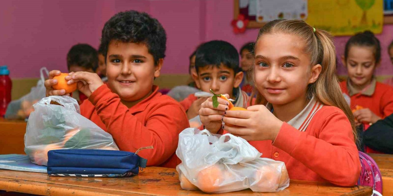 Belediye Okullardaki Öğrenciler İçin 100 Ton Narenciye Dağıtacak