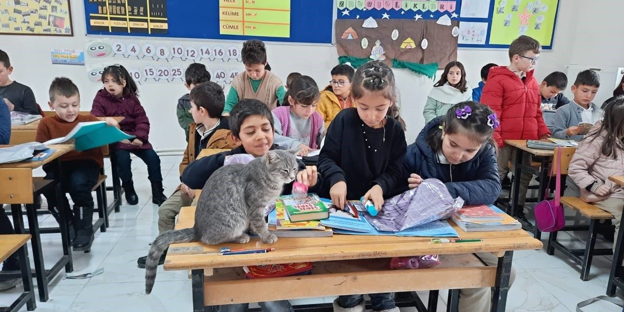 Merkez ve köy okulu öğrencileri bir araya geldi