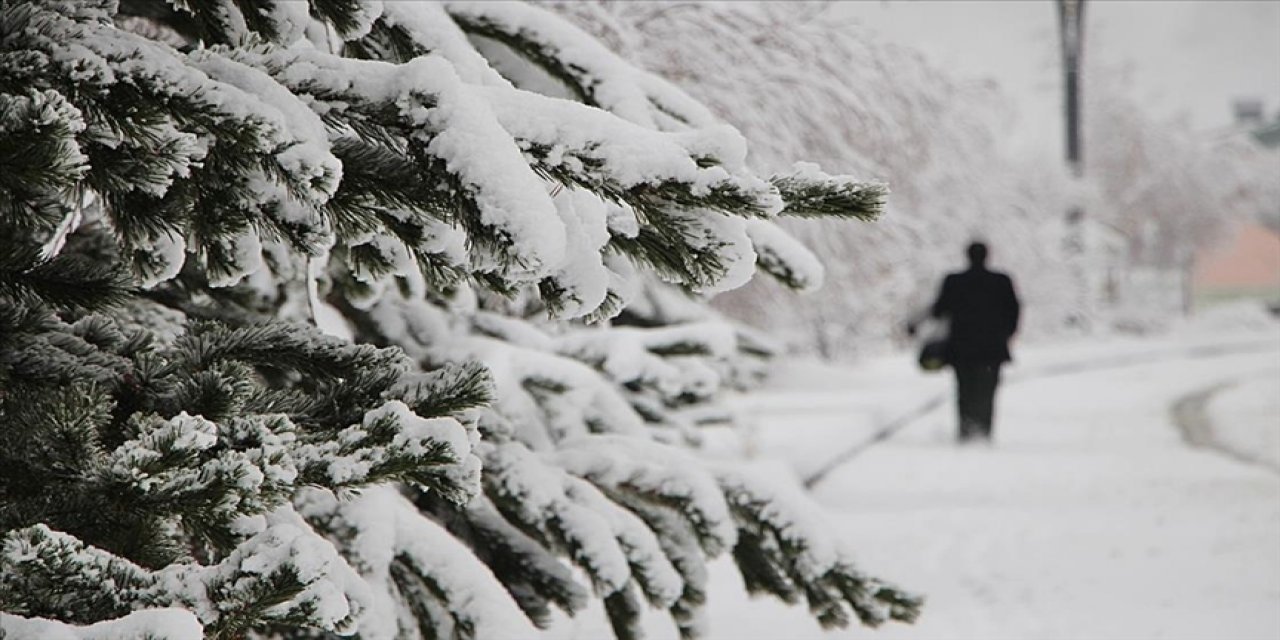 Meteoroloji uzmanı 17 Şubat tarihini işaret etti: Lapa lapa kar yağacak!