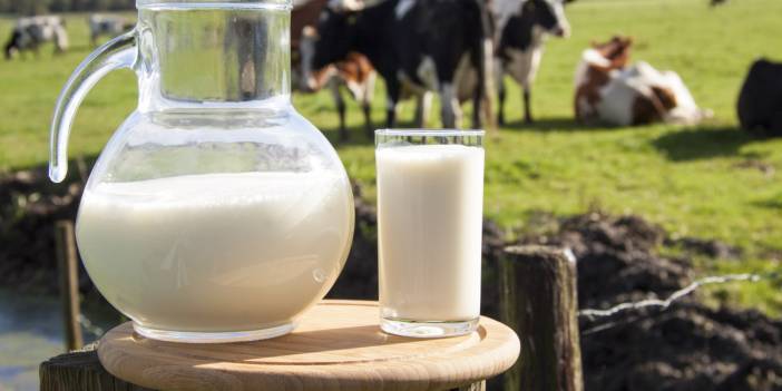 Türkiye'nin süt üretiminde azalış gözlendi
