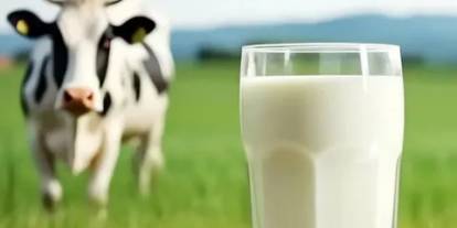 Tarım Müdürlüğü’nden Çiftçiye 2.8 Milyon TL’lik Dev Destek! Çiğ Süt Projesi Başladı