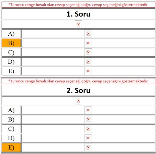 ÖSYM'nin yayınladığı soru kitapçıkları görüntülenmiyor 