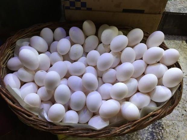 Bunu haberi okuduktan sonra  yumurtanın kabuğunu çöpe atmayacaksınız