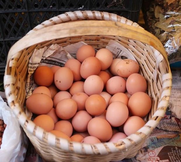 Bunu haberi okuduktan sonra  yumurtanın kabuğunu çöpe atmayacaksınız