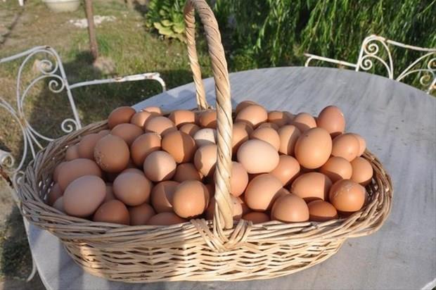 Bunu haberi okuduktan sonra  yumurtanın kabuğunu çöpe atmayacaksınız